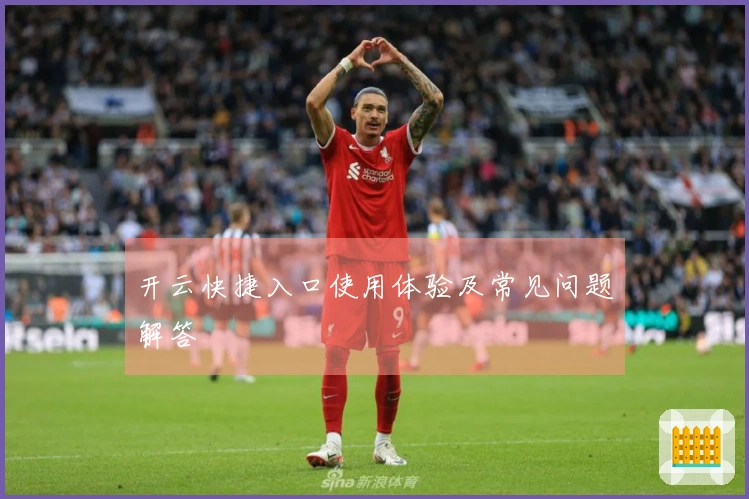 开云快捷入口使用体验及常见问题解答